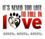 Adopt a shelter pet today!